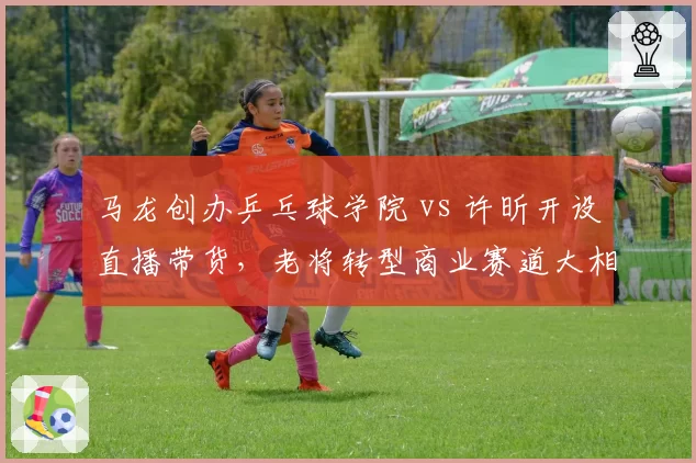马龙创办乒乓球学院 vs 许昕开设直播带货，老将转型商业赛道大相径庭