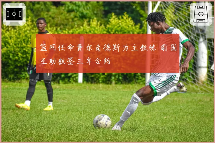 篮网任命费尔南德斯为主教练 前国王助教签三年合约