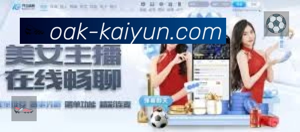 全球访问热力分布图